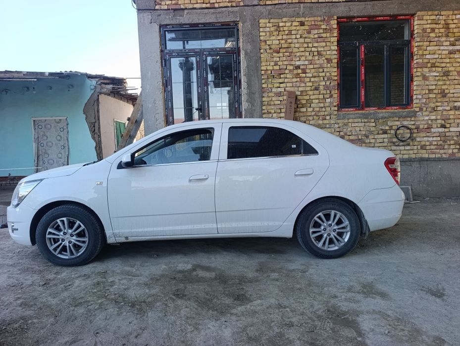 Kobalt sotiladi sastaniyasi zur kraskasi umuman yuq uzimniki