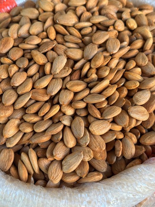 O'rik mag'zi абрикосовые косточки урючные косточки орехи