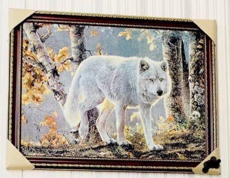 Магазин картинки (Рамка)