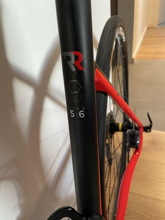 Cursiera Desert Falcon 2 Disc