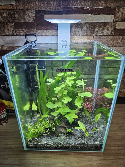 Acvariu complet cub aquael shrimp set D&N 20L