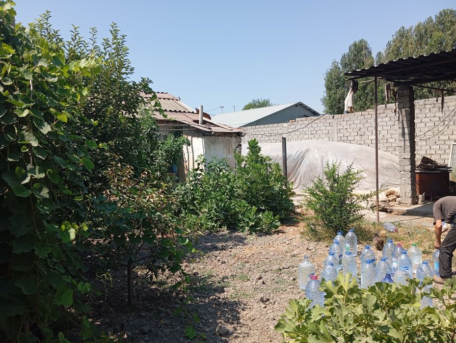 Продаётся дача пскентский район  ангрен дарёсини олдида 72-сотих