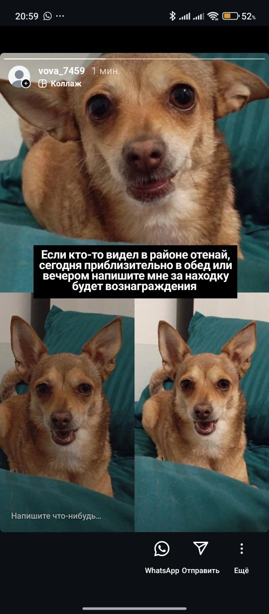 Пожалуйста если есть любая информация позвоните