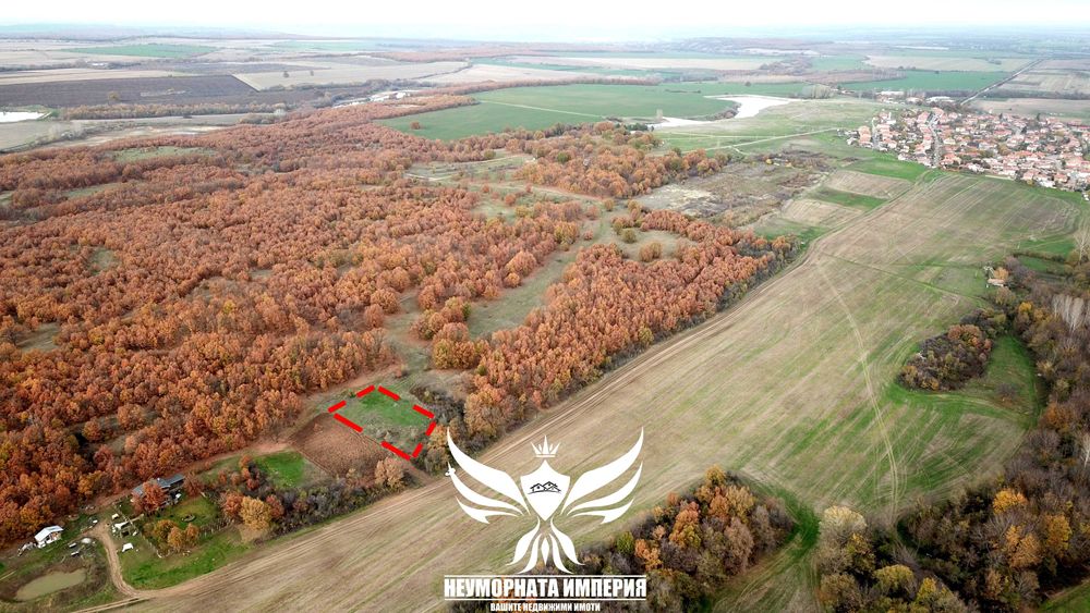 Продавам два броя земи в село Стоево 1120кв.м.  общ.Асеновград