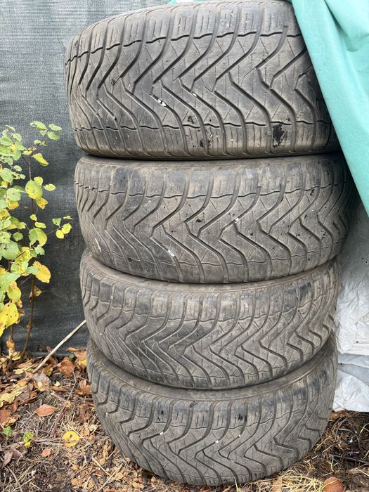 255 50/19 Gripmax Suregrip