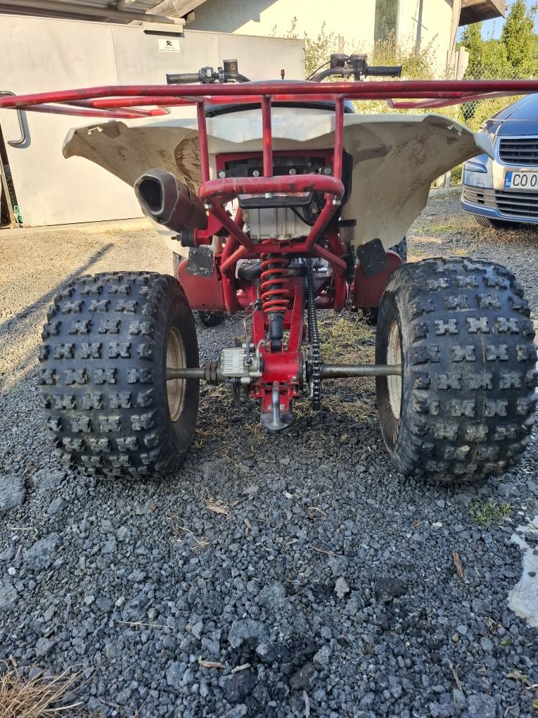 Can-Am DS 250 2009