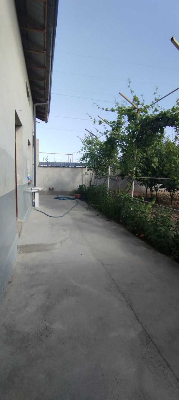Nazarbek tekstilda xovli sotiladi srochna uy narxi 49000!