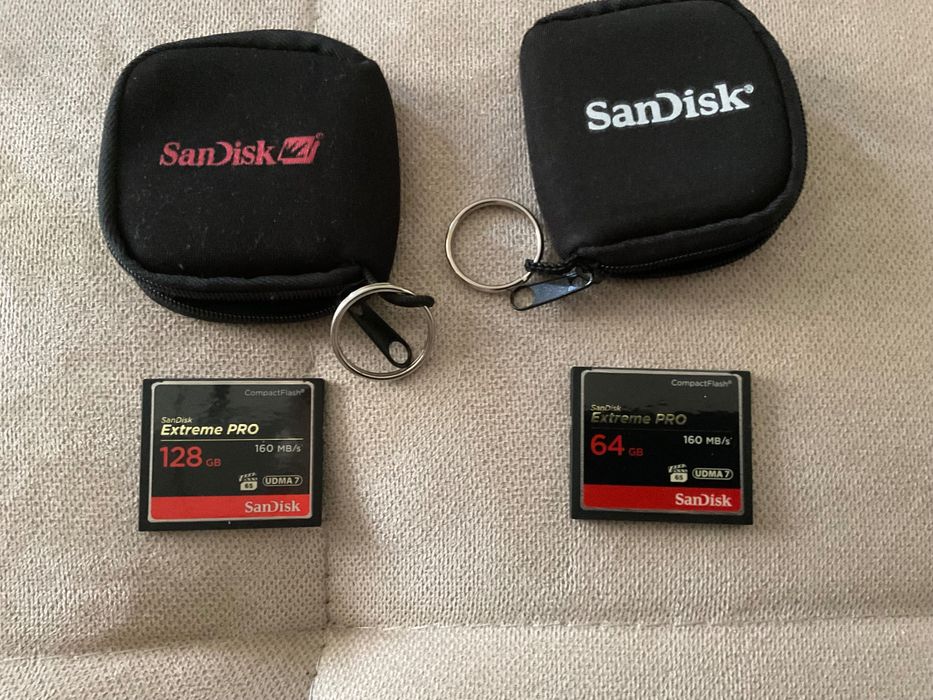 Carduri CF Sandisk 128gb+ 64gb