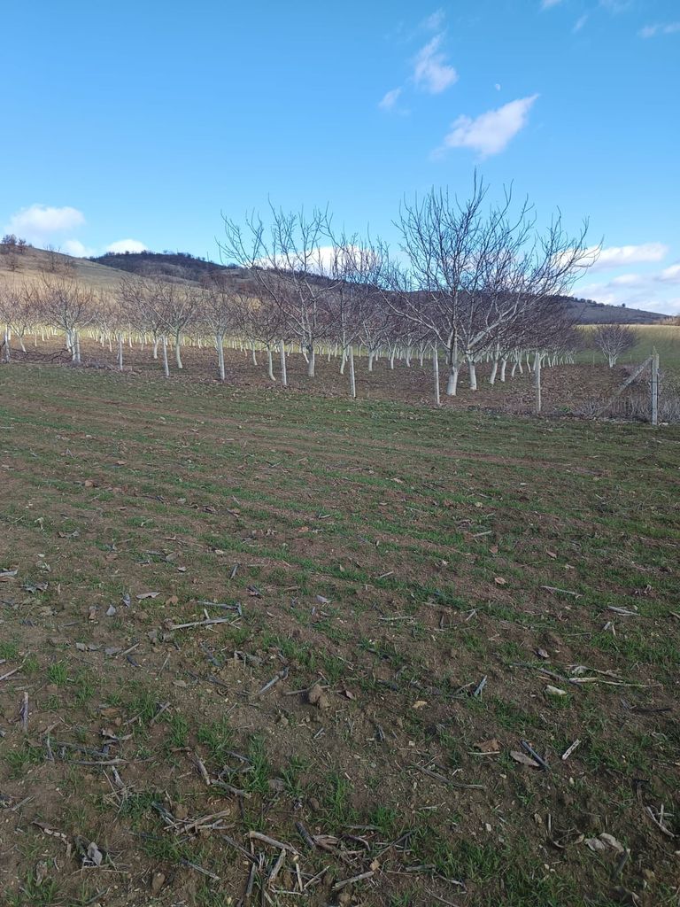 Продава се Земеделски имот в с. Планиница, Област Бургас -  кв.м за 7 €/дка - Снимка #5
