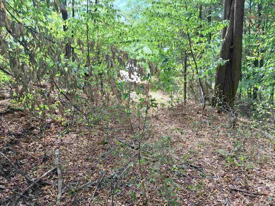 Продава парцел в Правец, махала Живковска