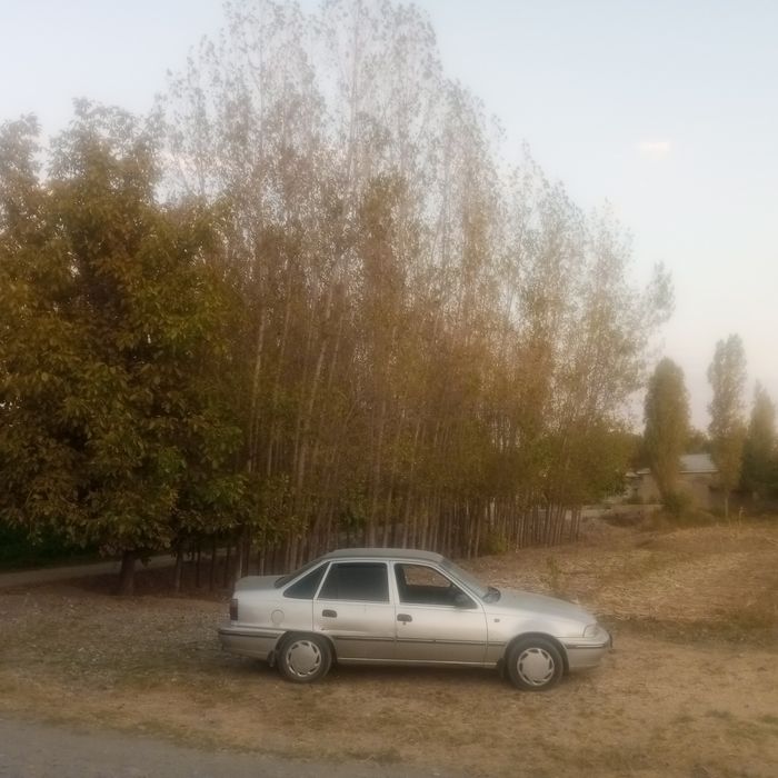 Йер сотилади, жомбойда 20 сутик