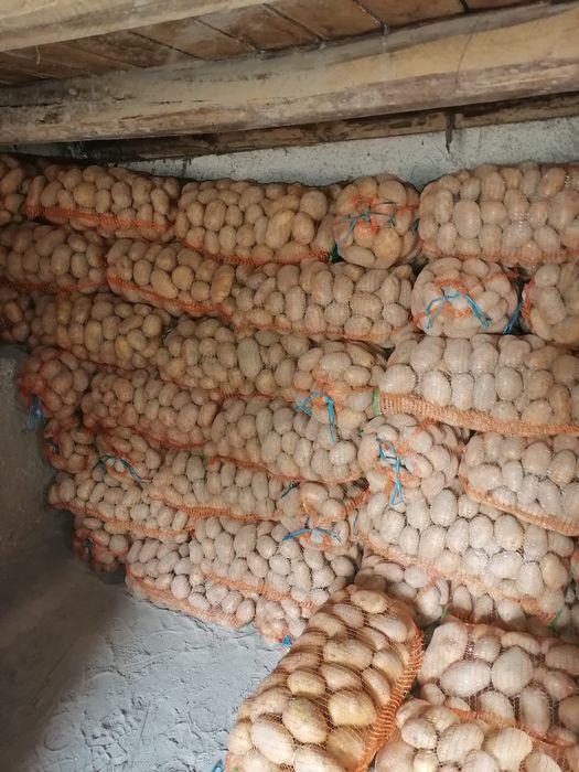 Vand cartofi rosu sí alb