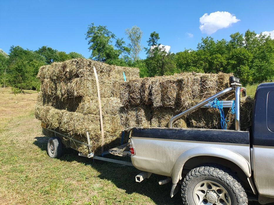 De vânzare baloti fan