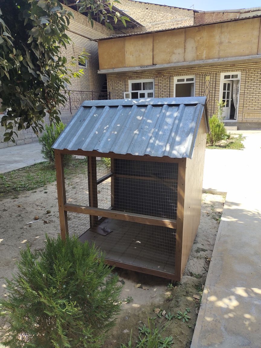 Tovuq quyon har-xil qushlar uchun qafas qiziqanla boʻsa