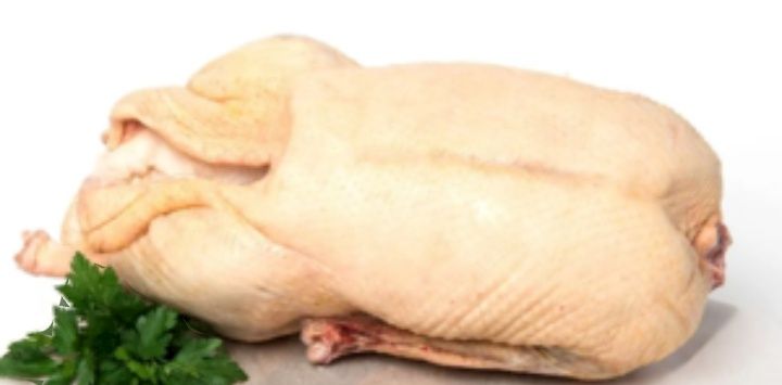 Продам мясо гусей домашних