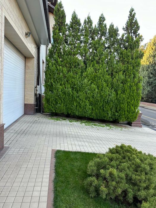 Archa kesish xizmatlari