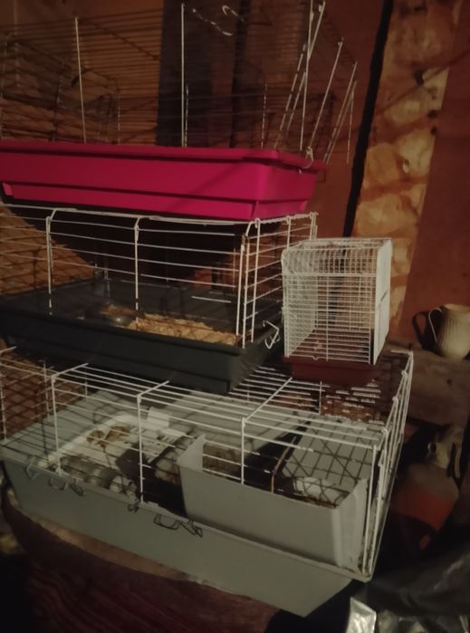Продам четыре клетки и лежанку для собачки