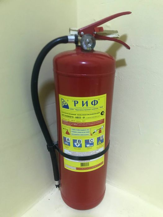 Ognitushitel yangi 2026