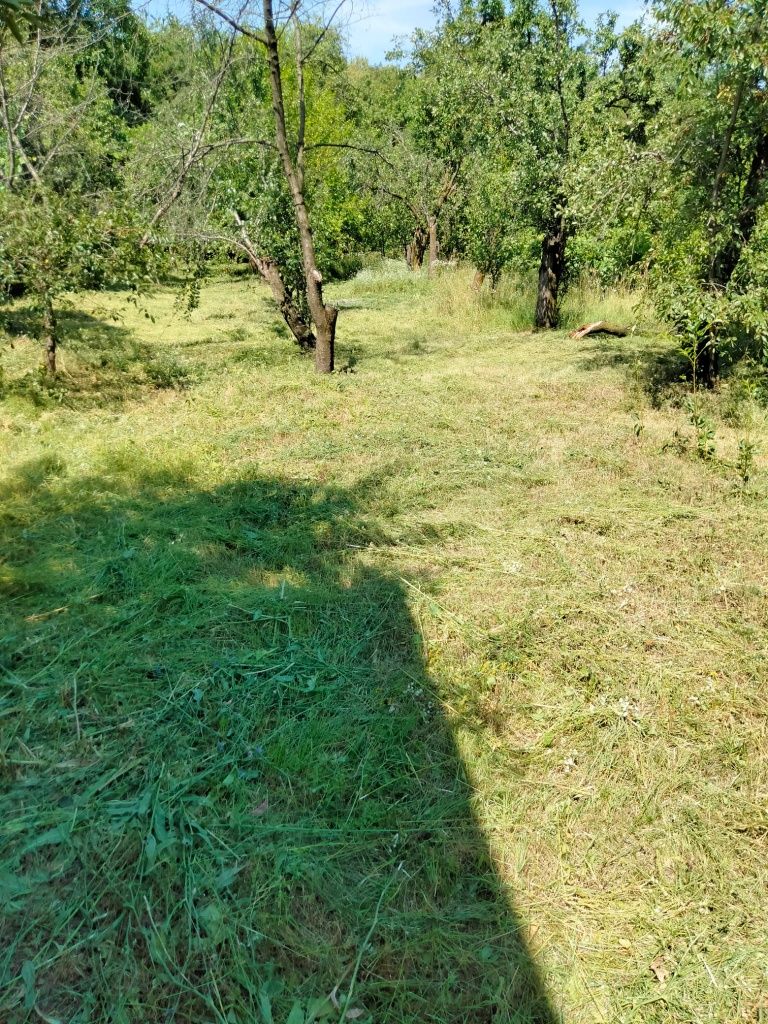 Ocazie,Teren de casa,vila,deal-munte,cu livada!Acte la zii Negociabil