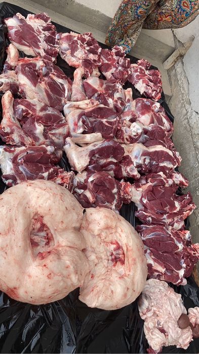 Qoʻylar Qoy sotiladi