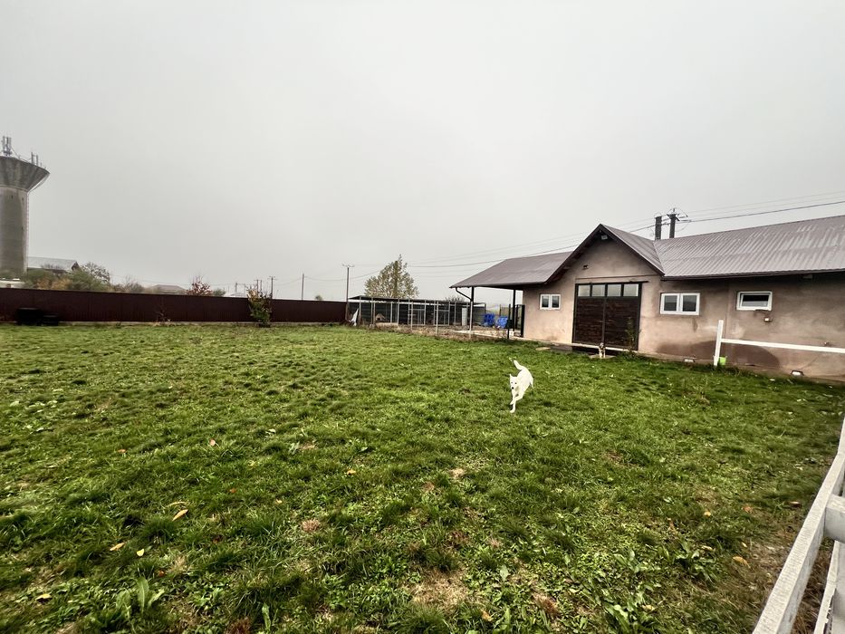 Inchiriez grajd cu manej pentru 2 cai