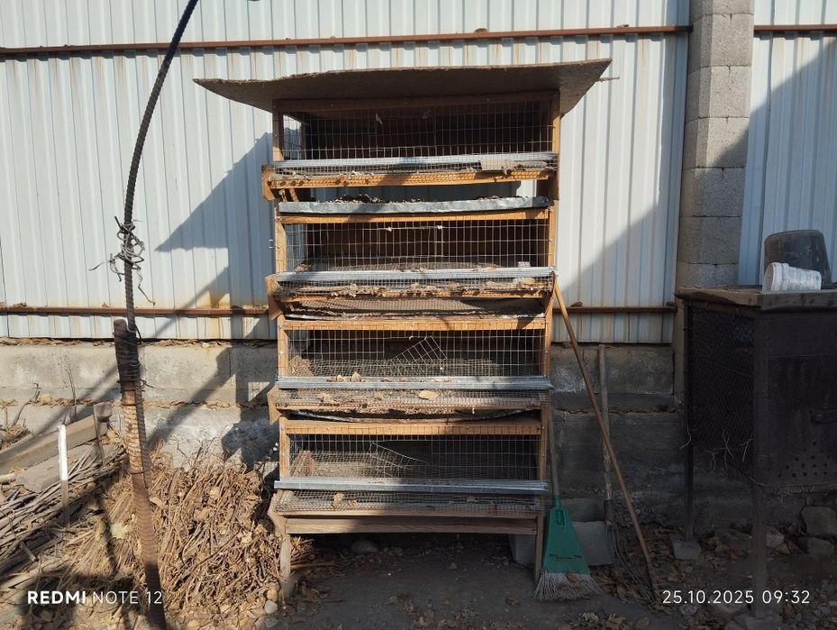 Клетка для перепелов