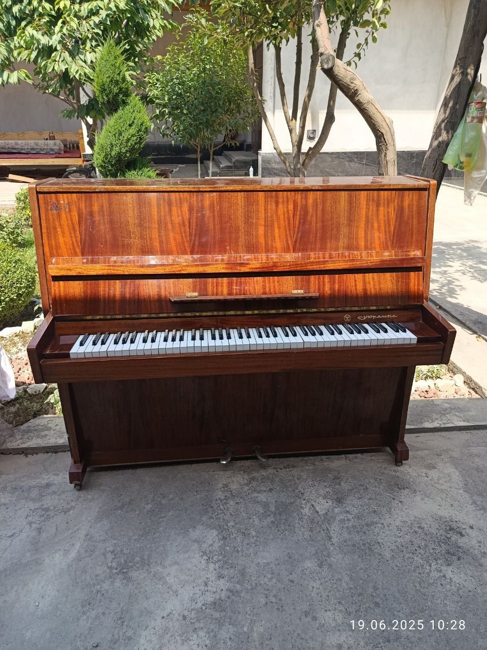 Pionina sotiladi