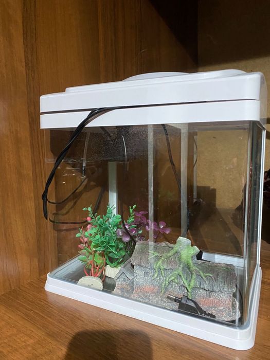 Аквариум в отлтчном состояние