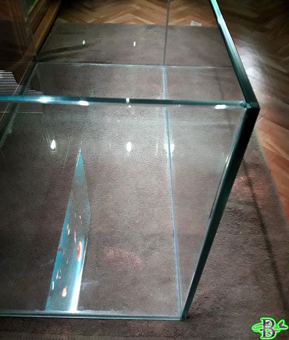 Akvarium yasimiz barcha turda