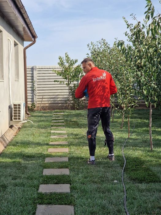 Gazon natural rulouri sau semințe