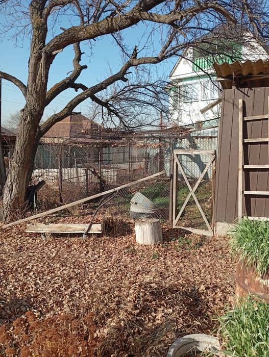 Продам дом . Кирпичный