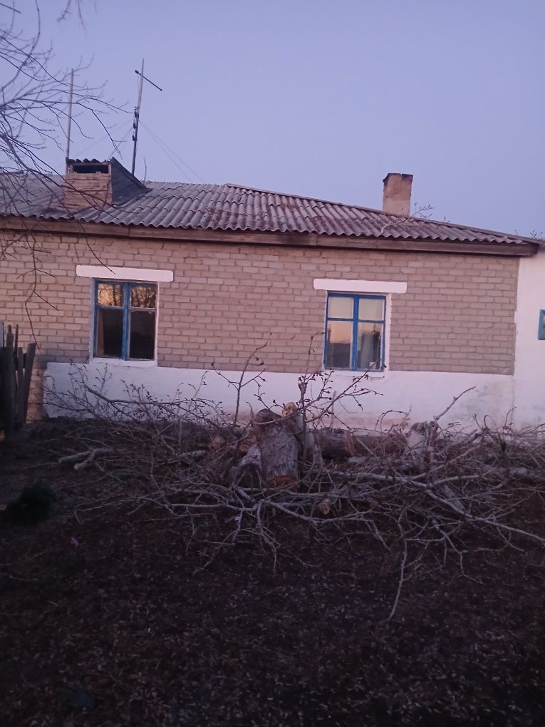 Спил деревьев обрезка