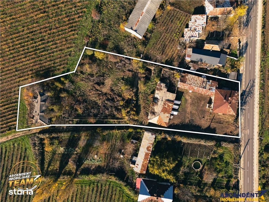 FILM! Casa boieresca autentica,domeniu de 4.000 mp intravilan,in podgo