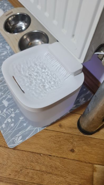 Dispenser/Fantana apa pentru pisica