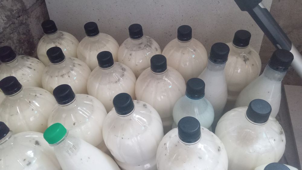 Продаём кумыс вкусный натуральный