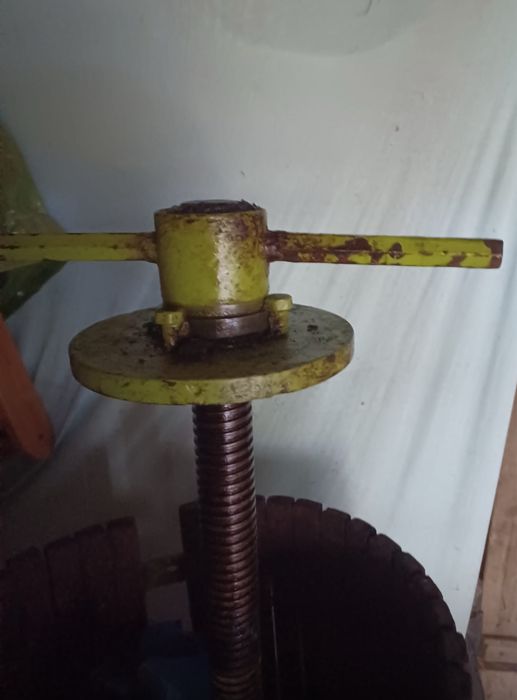Teasc/presă struguri 100kg