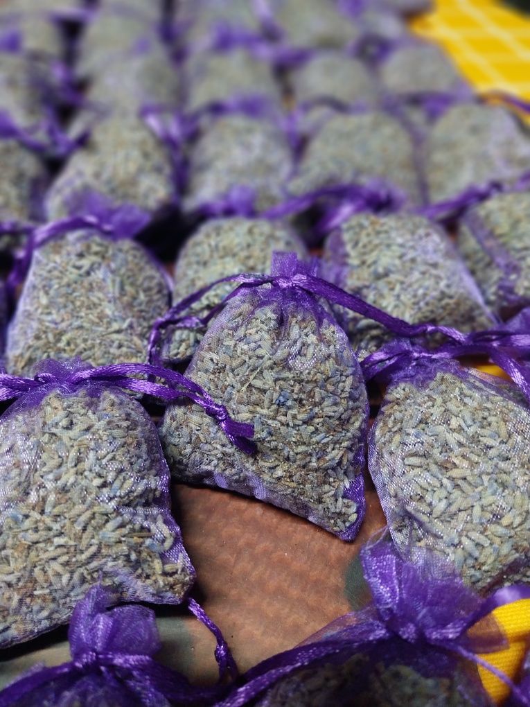 Saculeti lavanda