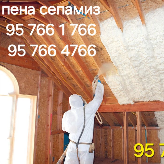 Pena (PPU) sepib beramiz ( penapoliuritan)