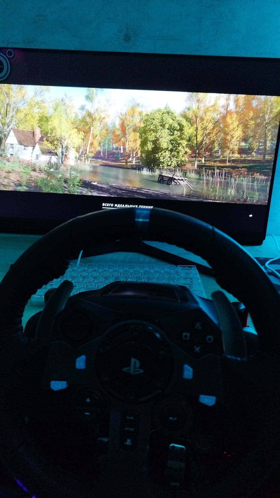 Logitech g29 + shifter