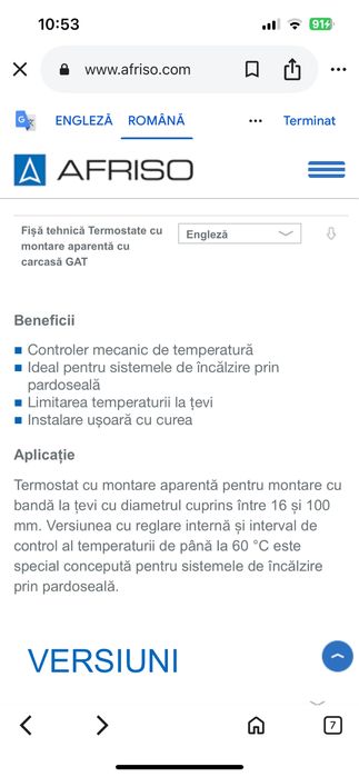 Termostat cu montare aparenta