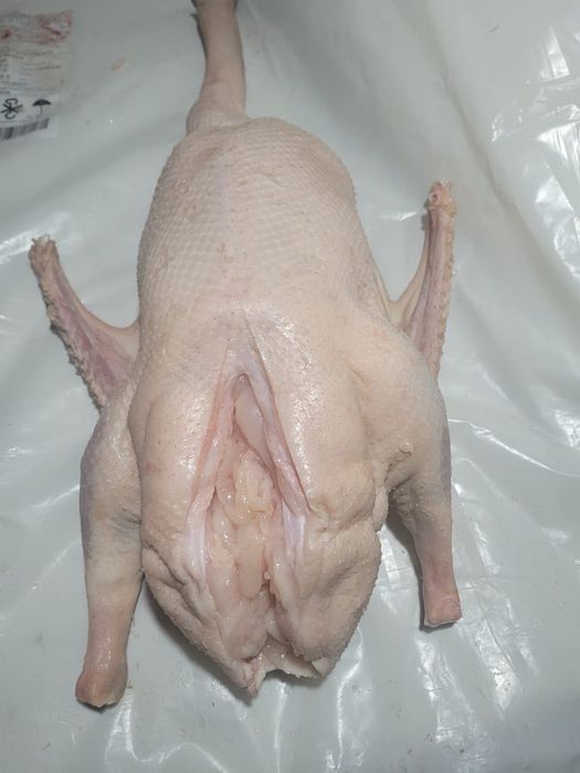 Мясо Гуся. Қаздың еті.