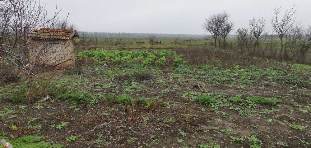 Продава се Парцел в Балчик - 1290 кв.м за 30 €/кв.м - Снимка #6