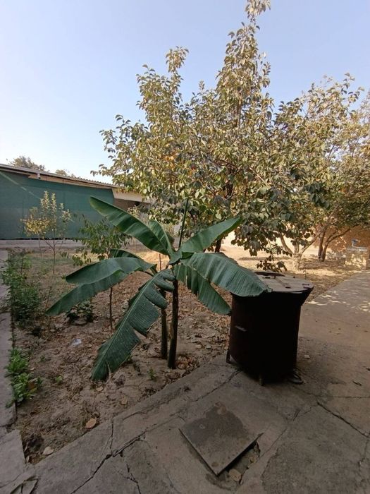 Продаётся участок на АККАВАКЕ