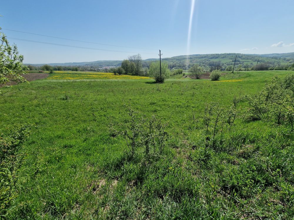 Vând/Schimb teren extravilan Cacica