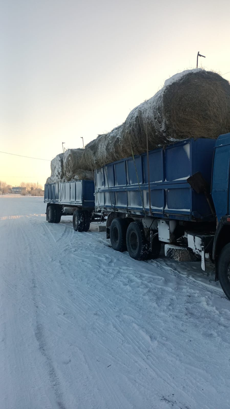 Продам сено в руллонах