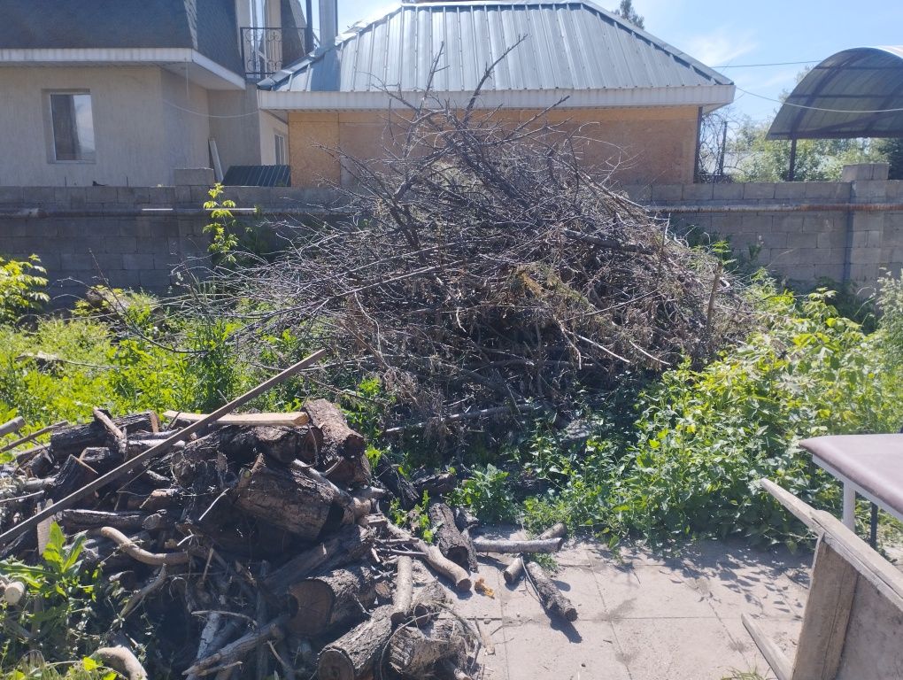 Продам дрова дуб
