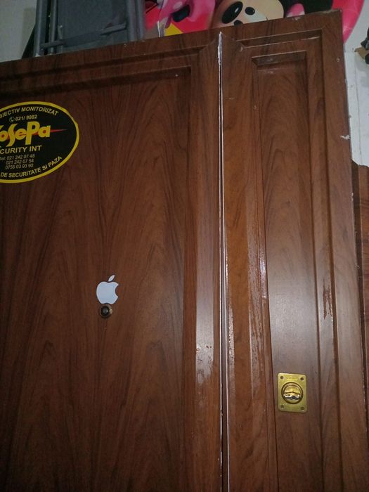 Usa intrare apartament