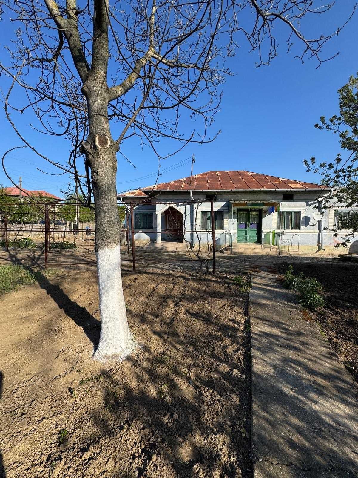 Casa si teren intravilan de vanzare - Iancu Jianu