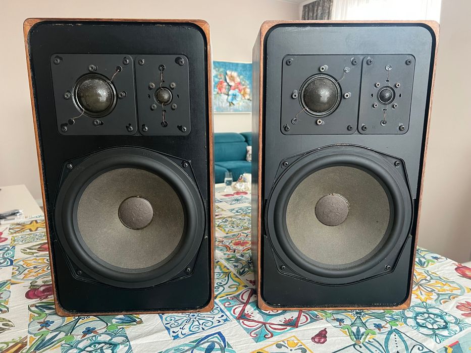 Тонколони Braun SM1004