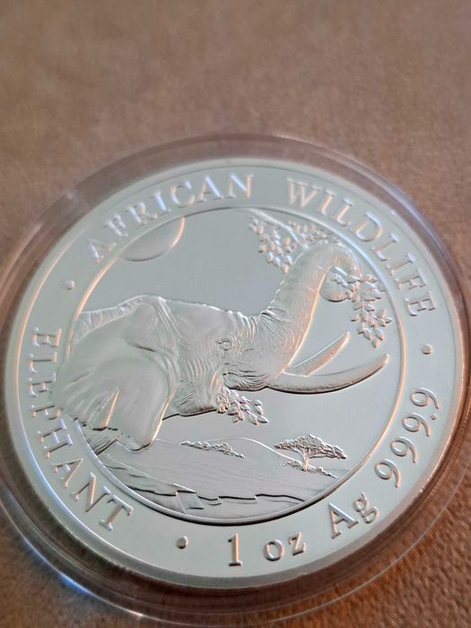Сребро 1 oz. Сомалийски слон